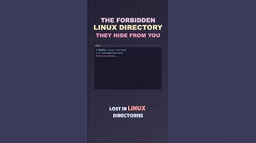 The Forbidden Linux Directory Map They Hide From You