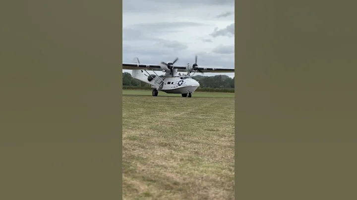 PBY Catalina clips the hedge on approach at Victory Show 2025 #aviation #landing #ww2