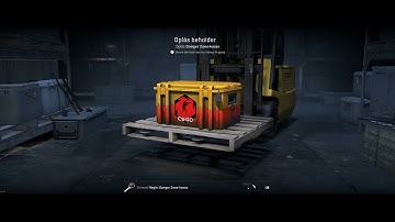 Opening A Danger Zone Case everyday, until i get a knife #17