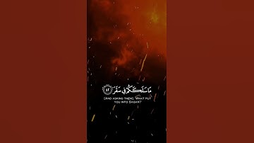 (مَاسَلَكَكُم فِي سَقَرَ) القارئ:شريف مصطفى❤️ | تلاوات جميلة