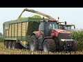Krone Big X 680 in the field chopping corn during season 2020 | Case IH Magnum 340 & MF 8737 | DK
