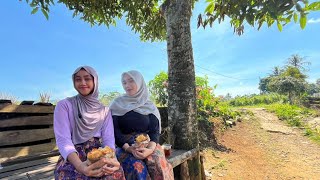 Wow Kaget,, Jumpa Dua Perwan Desa Cantik Di Kampung Terpencil Tengah Sawah, Sukabumi Jawa Barat