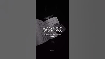 القارئ | عبدالرحمن مسعد🖤 سـورة | مريم #قرآن