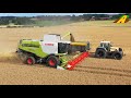 Getreideernte 2020 - Fendt 93? & Class Lexion 750 im Ernteeinsatz beim Landwirt in Niedersachsen