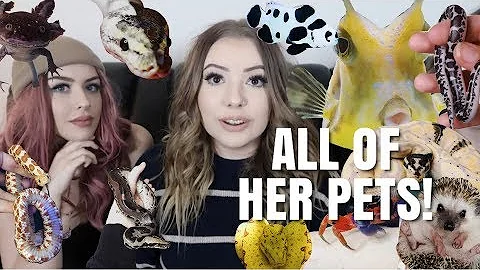 Meeting ALL of Taylor Nicole Dean's Pets!