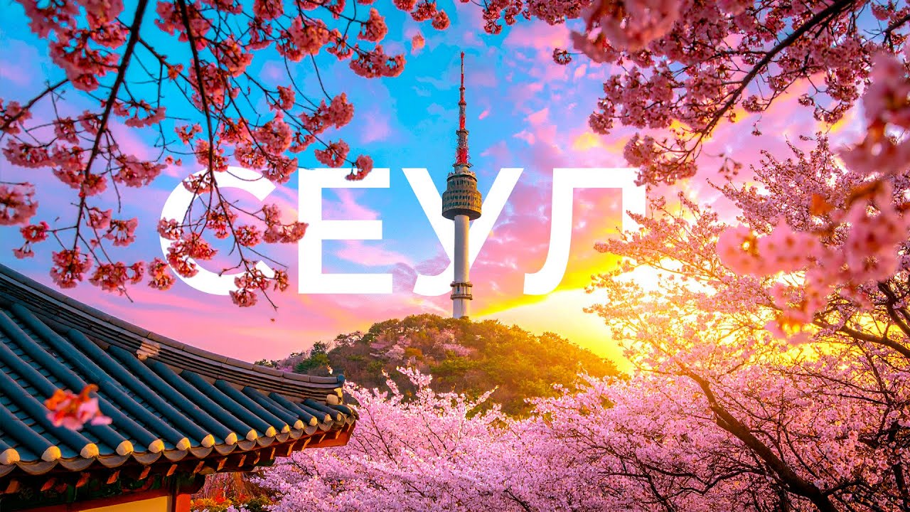 ЮЖНАЯ КОРЕЯ ЭТО НЕ ДОРОГО!