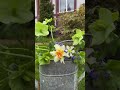 My vision of spring beauty | A wealth of spring cozy inspiration