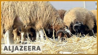 π±πΎ Libya economic woes overshadow Eid al-Adha celebration | Al Jazeera English