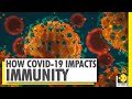 New study reveals how COVID-19 depletes our immunity | WION News