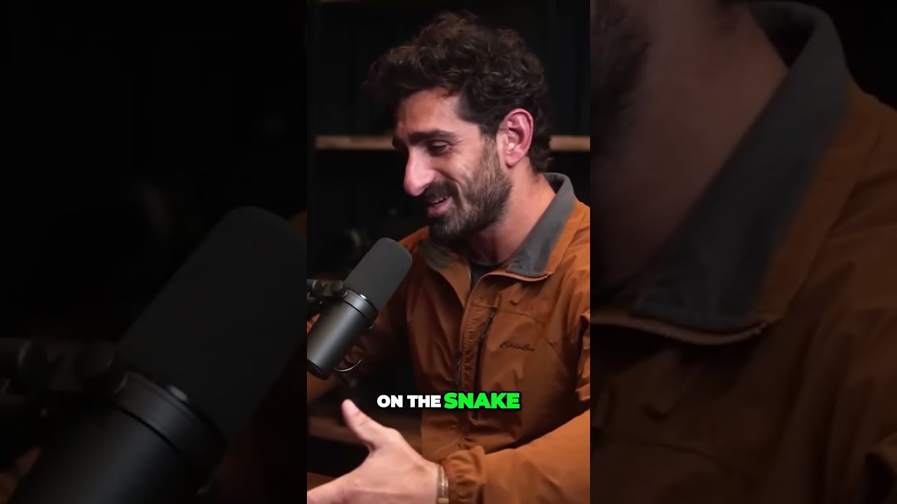 Into The Heart Of Amazon A Jaw Dropping Encounter With Massive Anacondas 