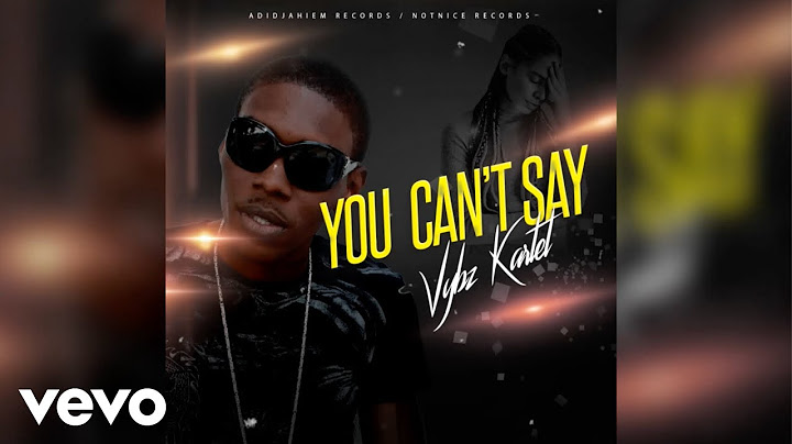 Vybz Kartel - You Can't Say (Official Audio)
