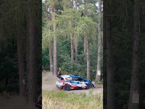 Ford Fiesta WRC Sound Automobile Rally Bmwmmotorsport Wrc Racing Motorsport Race Drift Wrc6