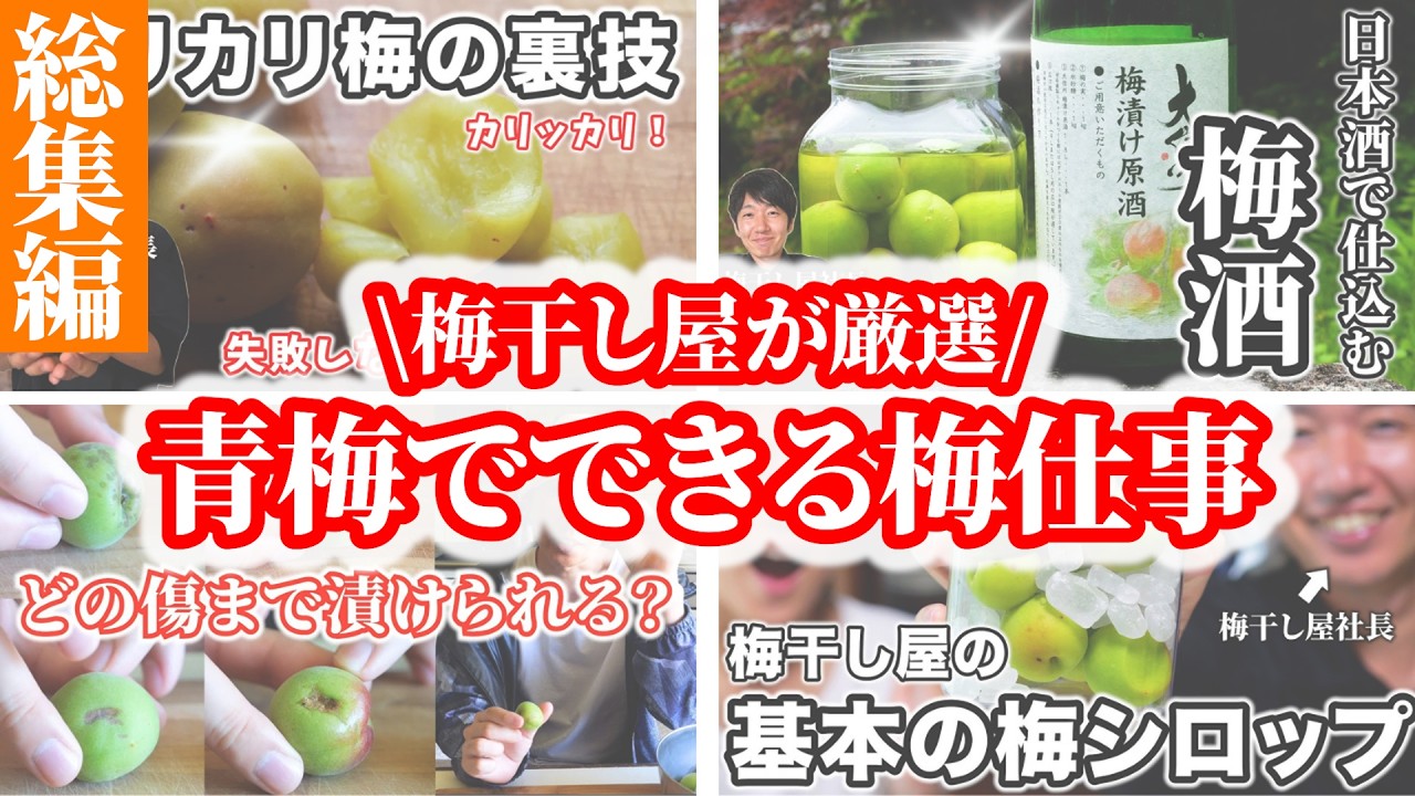 若い梅 梅農家が青梅でできる梅仕事を一気に紹介します。梅酒、梅シロップ、梅