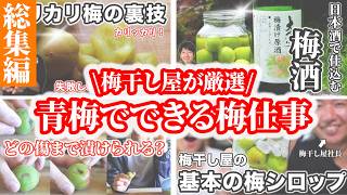 梅農家が青梅でできる梅仕事を一気に紹介します。梅酒、梅シロップ、梅エキス
