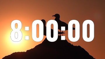 8 Hour - TIMER & ALARM - 1080p - COUNTDOWN