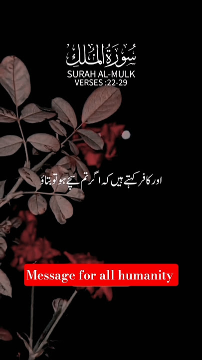 Surah Al Mulk Urdu translation #quran #quranrecitation #islamicshorts