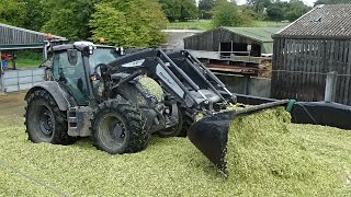 Maize Harvest 2021 - Buckraking clamp with Valtra and Fendt & John Deere unload - Maize at Sparsholt