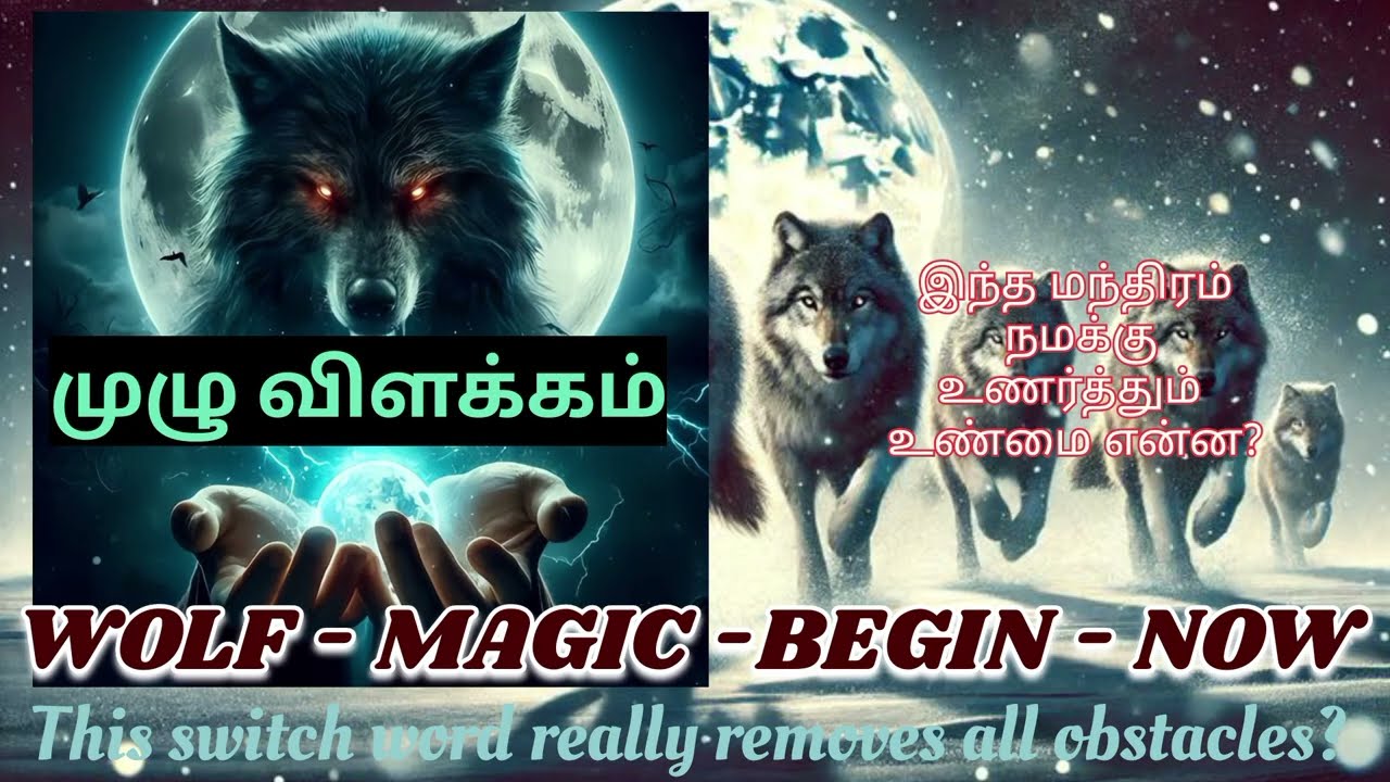 Wolf-Magic-Begin-Now 🐺  Manifest Anything Instantly 💗  Wish full fillment Animal spirit Manthra 🐺