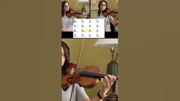 Swallowtail Jig - Violin Playalong (chords & melody)