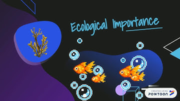F154 Importance of Algae