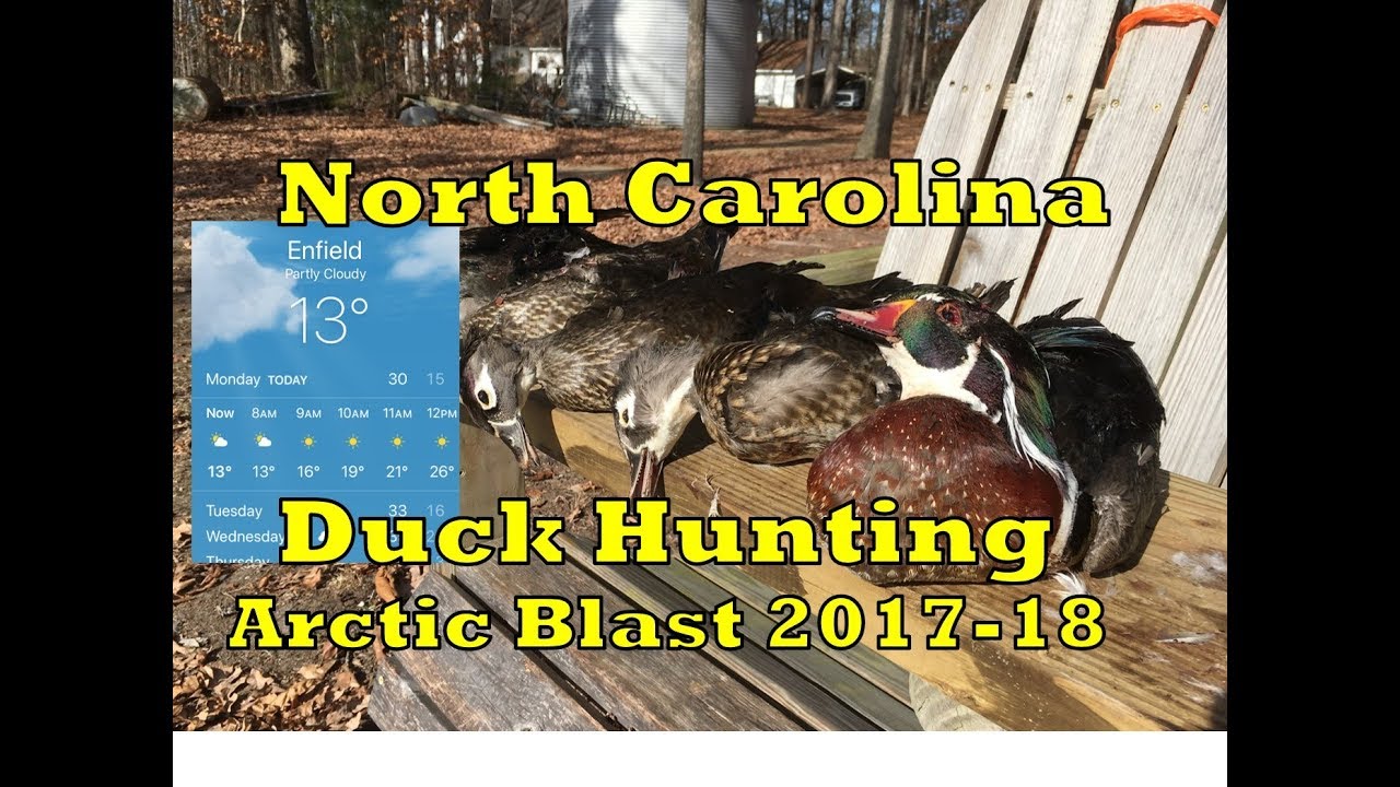 Duck Hunting In North Carolina During Arctic Blast RGO Ep 61 YouTube duck-hunting-in-north-carolina-during-arctic-blast-rgo-ep-61-youtube