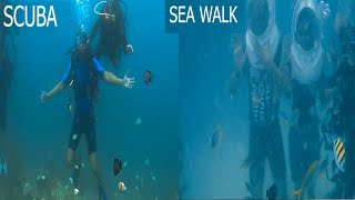 SCUBA DIVING | SEA WALK | WHICH ONE TO CHOOSE? ANDAMAN EXPERIENCE - 2022