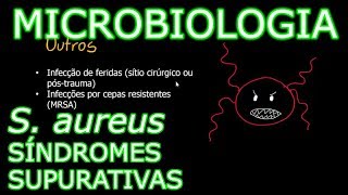 Aula: Microbiologia Médica #10 - Staphylococcus: Síndromes supurativas