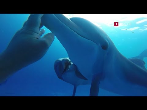 „ინტერაქტივი\" - დავით ქემხაძის დოკ. ფილმი