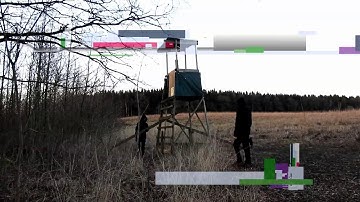 Hunt saboteurs Sweden and Underground badger syndicate hunting tower destroyed