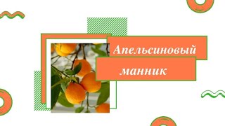 Апельсиновый манник