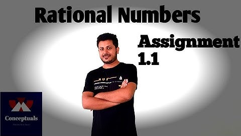 Rational Numbers Class 8 || Assignment 1.1