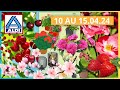 Aldi catalogue du 10 au 150424 fleurs plantes jardin