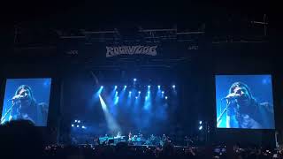 Times Like These - Foo Fighters (Live @ Rockville 2024)