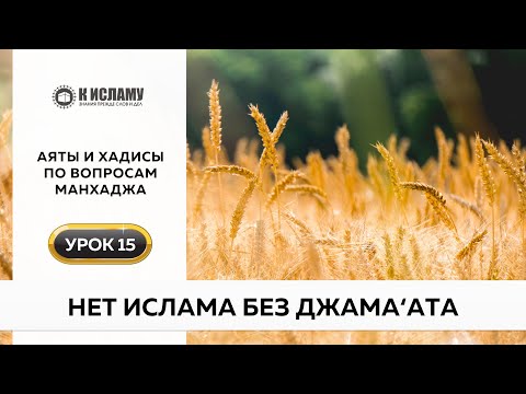 15. Нет Ислама без джама'ата | Аяты и хадисы по вопросам манхаджа. Ринат Абу Мухаммад