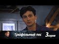 Трюфельный пес - Фильм третий - Серия 3/ 2017 / Сериал / HD 1080p