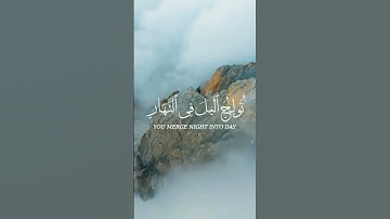 سورة آل عمران - الآية 25 - 27 :
