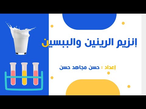 معمل 2 اختبار فعل إنزيم الرينين والببسين