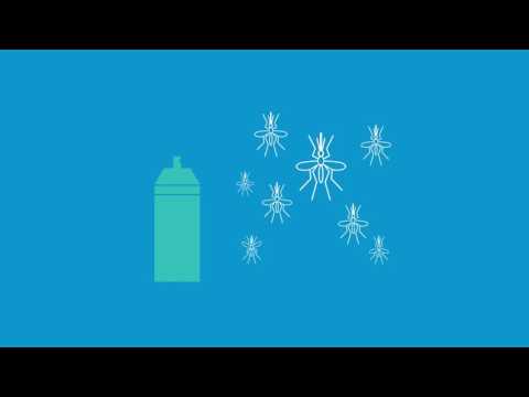 WHO: 2016 highlights in the global malaria fight - WHO: 2016 highlights in the global malaria fight