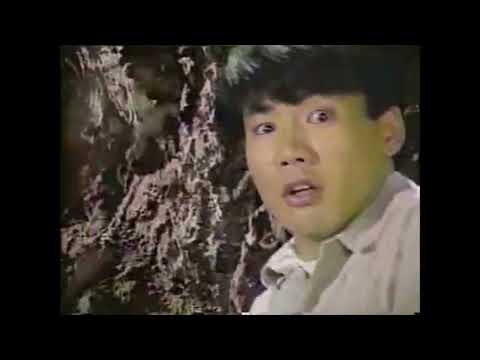 GoldStar Miracle TV Commercial Juche 72 (1983)