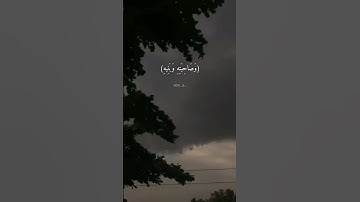 محمد اللحيدان سورة عبس 🖤