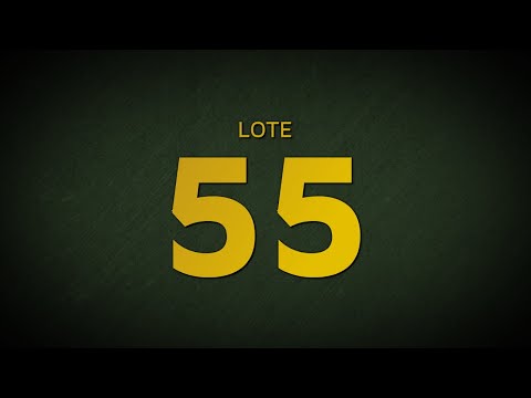 LOTE 55 - CSCC 6959