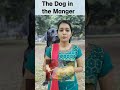 Idiom and Phrases "The dog in the Manger"