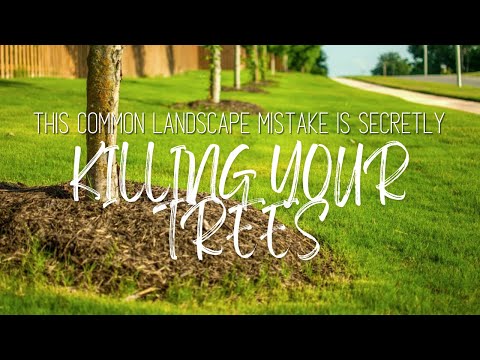 This COMMON Landscaping Mistake is SECRETLY KILLING YOUR TREES!