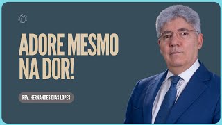 LOUVE EM MEIO ÀS LUTAS | Rev. Hernandes Dias Lopes | IPP