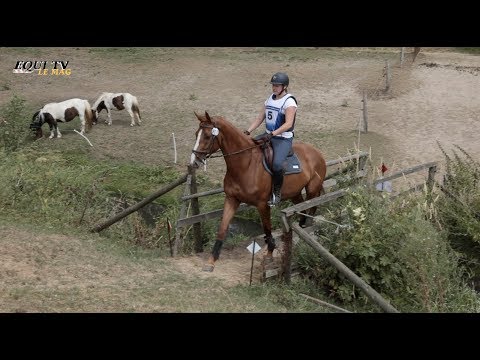 Vidéo: Garder un cheval: tableau de décrochage vs tableau de terrain