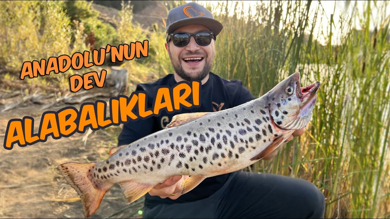 Dev Abant Alabalıkları Yakaladık! / En Güçlü Alabalık !! ft. @onurfiratpolat