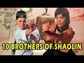 Wu Tang Collection - 10 Brothers Of Shaolin ( Mandarin with English Subtitles )