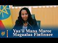 Yaa'ii Mana Maree Magaalaa Finfinnee