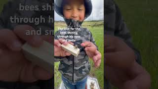 Boy handles queen bee #shortsfriends #shorts #bees #agriculture #brave #beekeeping #cool