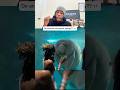This Manatee Fell in Love With a Random Woman at the Aquarium 😭🦭